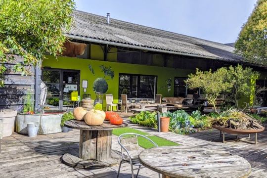 0-brunch-ferme-de-billy-rots