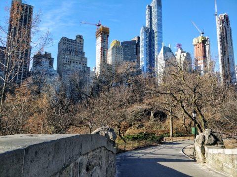 New-York-Hiver-Central-Park