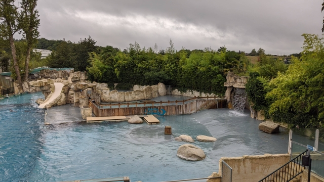 21-spectacle-otaries