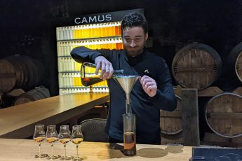 camus cognac creation congnac