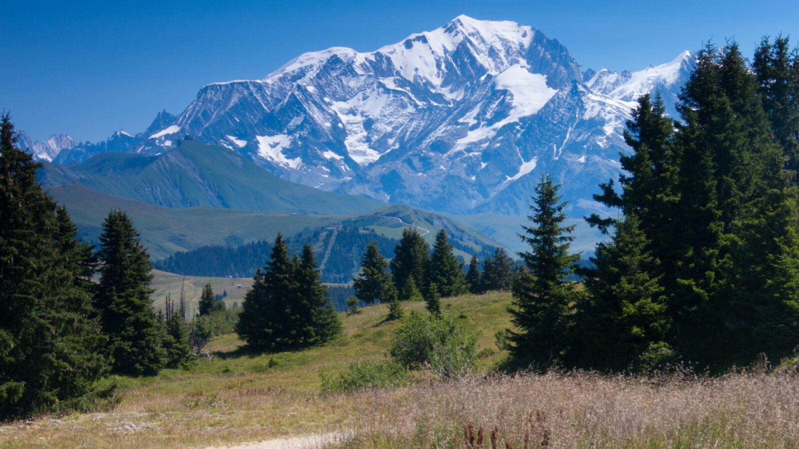 Mer ou montagne en été : quelle destination choisir pour vos vacances ?