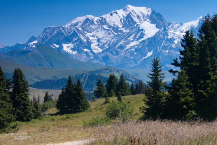 Mer ou montagne en été : quelle destination choisir pour vos vacances ?