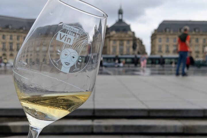 Ateliers, salons, vignobles : ma découverte du vin