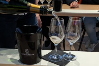 Dégustation de vins