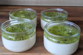 panna cotta kiwi