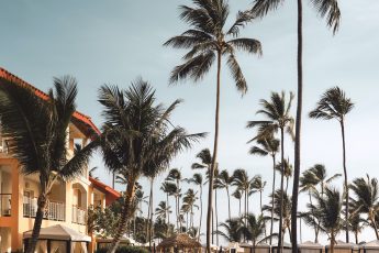 aeb4d108e6746cbd29c46f2c67ddf4f4